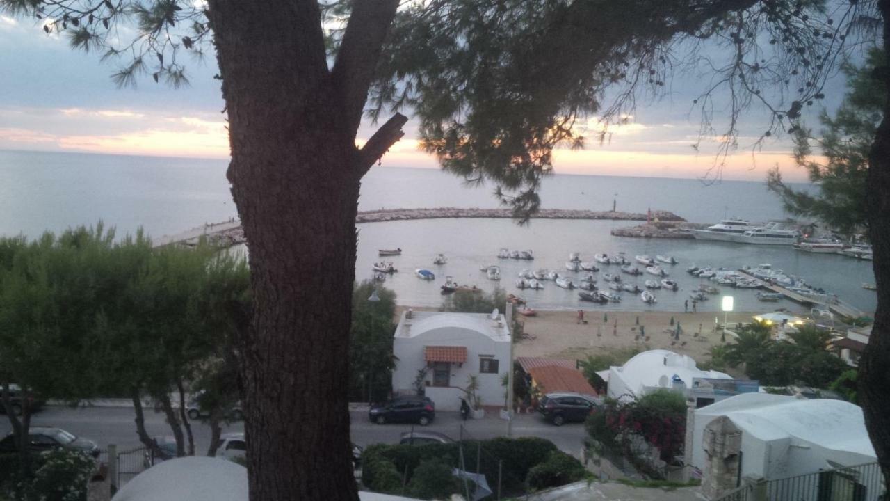 Blu Marine Casa A 10Mt Dalla Spiaggia Peschici Buitenkant foto