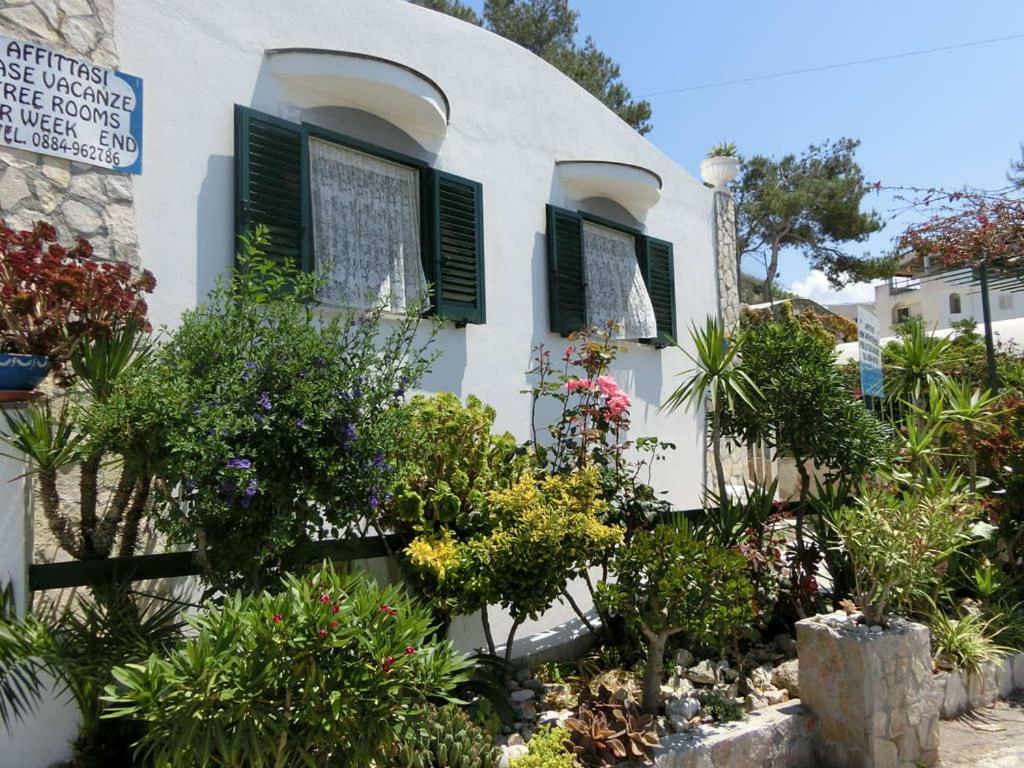 Blu Marine Casa A 10Mt Dalla Spiaggia Peschici Buitenkant foto